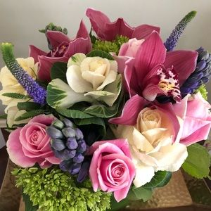 Meet your Posher, Darryl